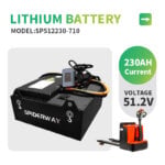 51.2V 230Ah Lithium Battery for GEM EVs with BMS