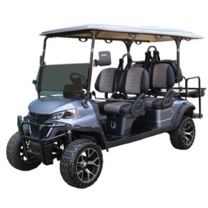 EG204DKSZ electric golf cart