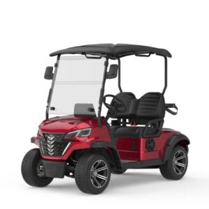 Borcart 4-seater electric golf cart with caddie stand