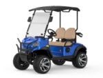 2-Seat Mini Electric Golf Buggy