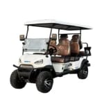 72v Electric Golf Cart Express 8