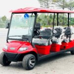 6-Seater Electric On-Road Sightseeing Car by LVTONG