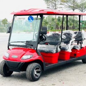 6-Seater Electric On-Road Sightseeing Car by LVTONG