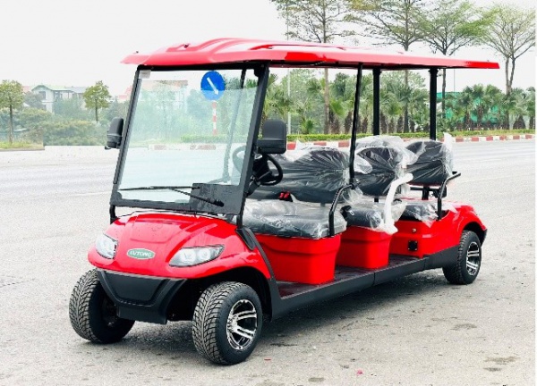 6-Seater Electric On-Road Sightseeing Car by LVTONG