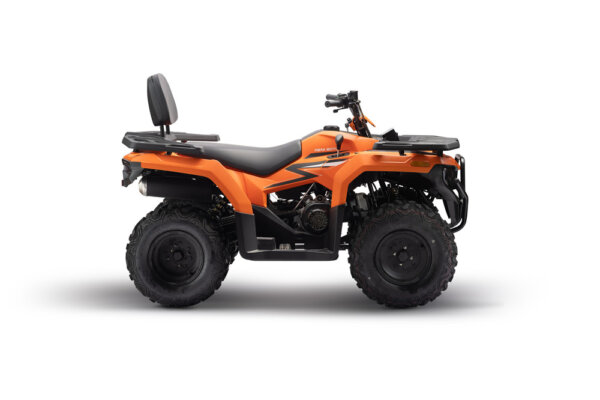 Bashan BS200AU-13 ATV with CVT F-N-R gear shift and disc brakes
