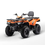 Bashan BS200AU-13 200cc air-cooled utility ATV for farm and trail use
