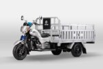 Bashan BS200ZH-3A Cargo 3-Wheeler Motorcycle