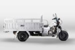 Bashan BS200ZH-3A 3-Wheeler Cargo Transport Motorcycle