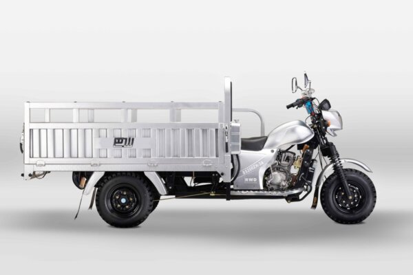 Bashan BS200ZH-3A 3-wheeler cargo transport motorcycle with 800kg maximum load and 18L fuel tank