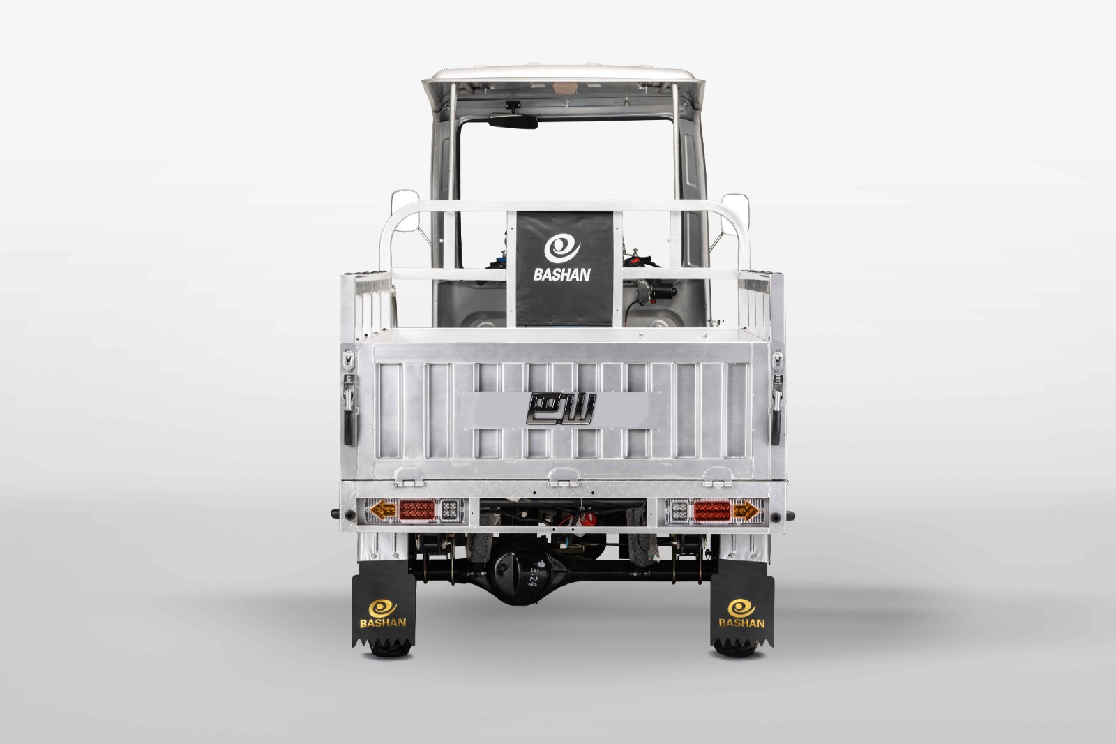 Bashan BS200ZH-3B 3-wheeler motorcycle for cargo and utility transport