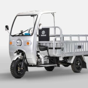 Bashan BS200ZH-3B 3-wheeler motorcycle for cargo and utility transport