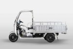 Bashan BS200ZH-3B 3-Wheeler Motorcycle for Commercial Delivery