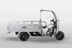 Bashan BS200ZH-3B 3-Wheeler Motorcycle for Agricultural Use