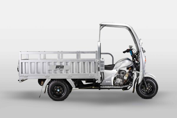 Bashan BS200ZH-3B 3-wheeler motorcycle for cargo and utility transport