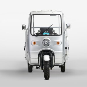 Bashan BS200ZH-3B 3-wheeler motorcycle for cargo and utility transport